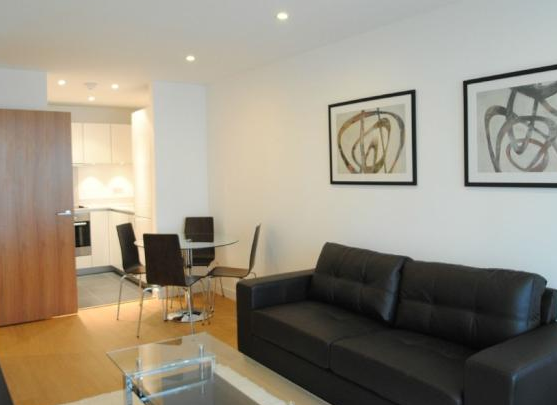 1 bedrooms New Home Apartment / Flat for rent