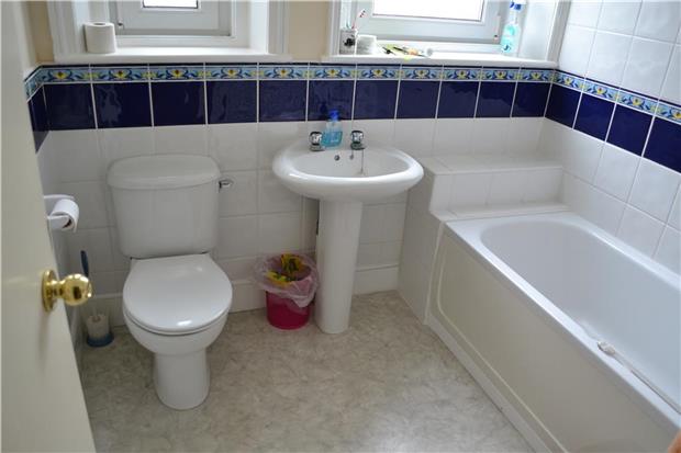 Image7
