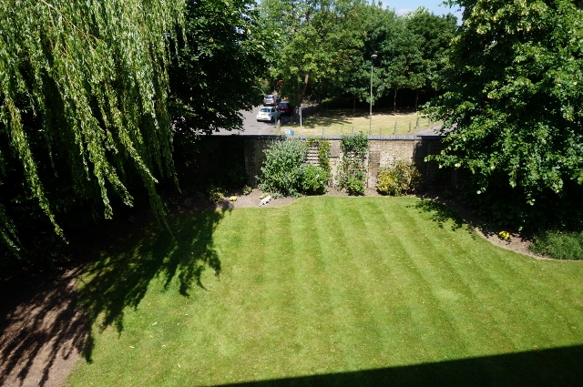 Image7