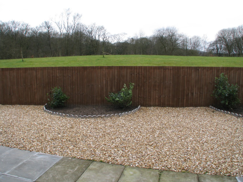 Image4