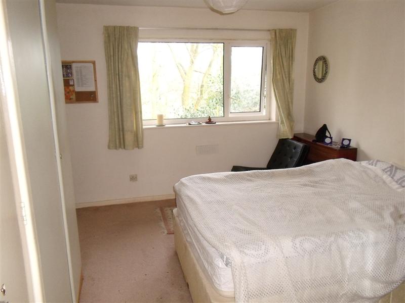 Image4